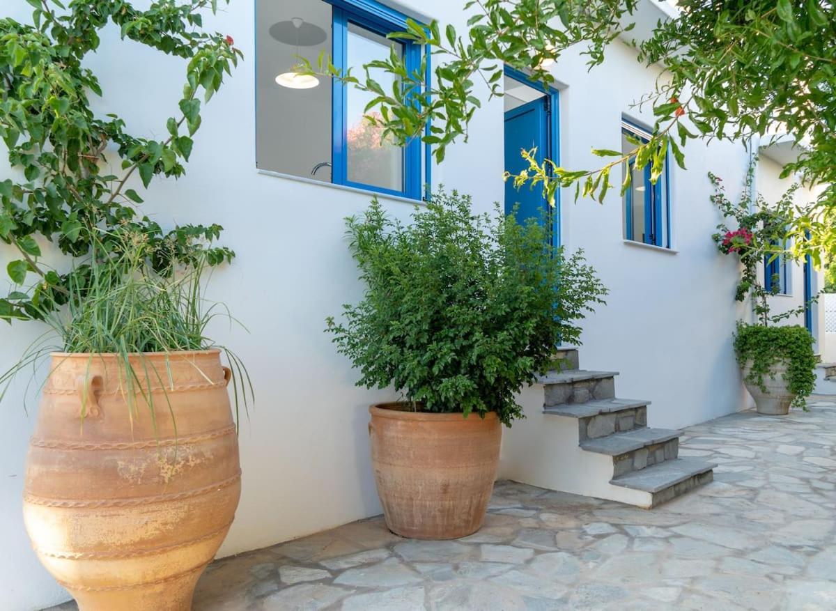 Blue Moon Apartments Makrýgialos エクステリア 写真
